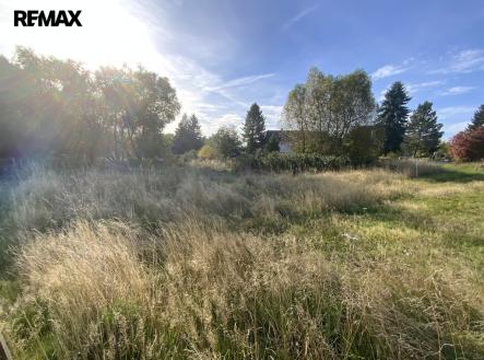 img-0879.jpg | Prodej - pozemek, trvalý travní porost, 2 155 m²