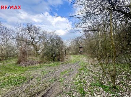 img-3705.jpeg | Prodej - pozemek, zahrada, 6 042 m²