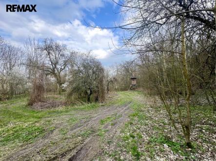 img-3705.jpeg | Prodej - pozemek, zahrada, 6 042 m²