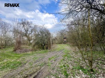 img-3705.jpeg | Prodej - pozemek, zahrada, 6 042 m²