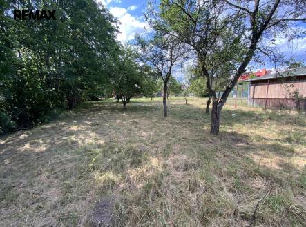 2.jpg | Prodej - pozemek pro bydlení, 2 919 m²