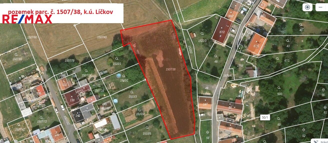 lickov-1.jpg