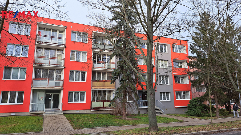 20250127-142405.jpg