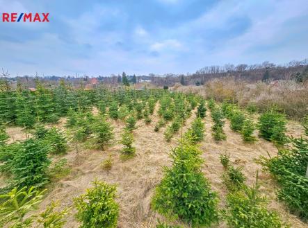 20250324-130447.jpg | Prodej - pozemek, zahrada, 2 463 m²