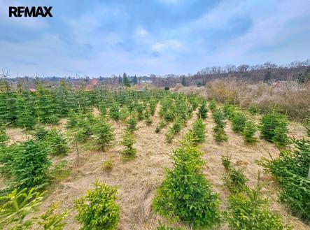 20250324-130447.jpg | Prodej - pozemek, zahrada, 2 463 m²