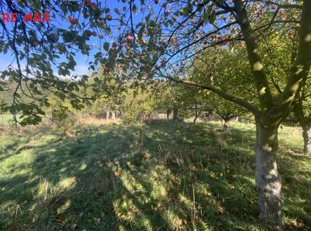 Prodej - pozemek, zahrada, 702 m² obrázek