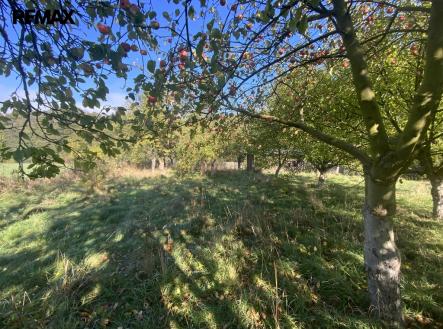 Prodej - pozemek, zahrada, 702 m²