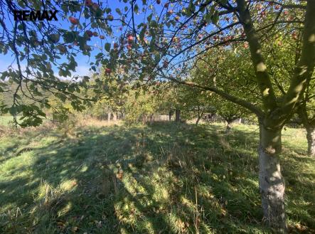 img-7382.jpg | Prodej - pozemek, zahrada, 702 m²