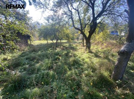 img-7377.jpg | Prodej - pozemek, zahrada, 702 m²