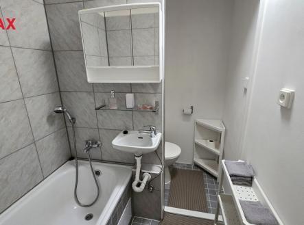 20251022-113710.jpg | Pronájem bytu, 1+kk, 20 m²