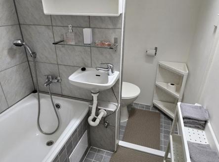 20251022-113728.jpg | Pronájem bytu, 1+kk, 20 m²