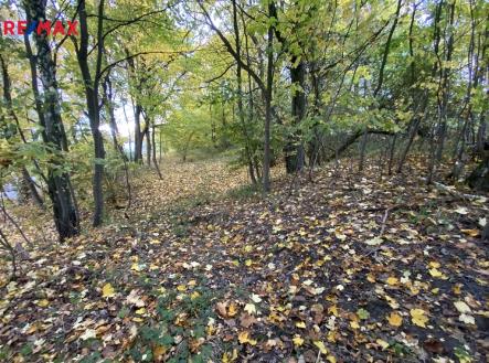 img-7471.jpg | Prodej - pozemek, ostatní, 2 385 m²