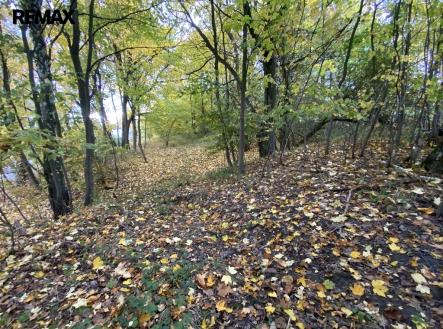 img-7471.jpg | Prodej - pozemek, ostatní, 2 385 m²