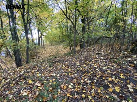 img-7471.jpg | Prodej - pozemek, ostatní, 2 385 m²