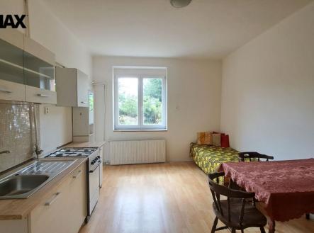 20240703-101636.jpg | Pronájem bytu, 1+kk, 20 m²