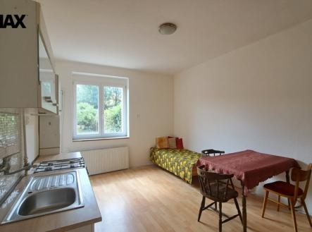 fotka.jpeg | Pronájem bytu, 1+kk, 20 m²