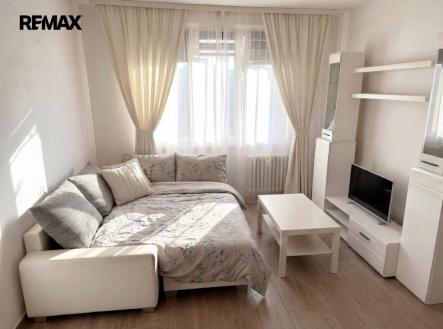 firefly-odstranit-veci-ze-stolu-a-z-policky-554891-2.png | Pronájem bytu, 1+kk, 20 m²