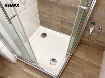 firefly-gemini-flash-vycistit-dno-sprchoveho-koutu-143296-2.png | Pronájem bytu, 1+kk, 20 m²