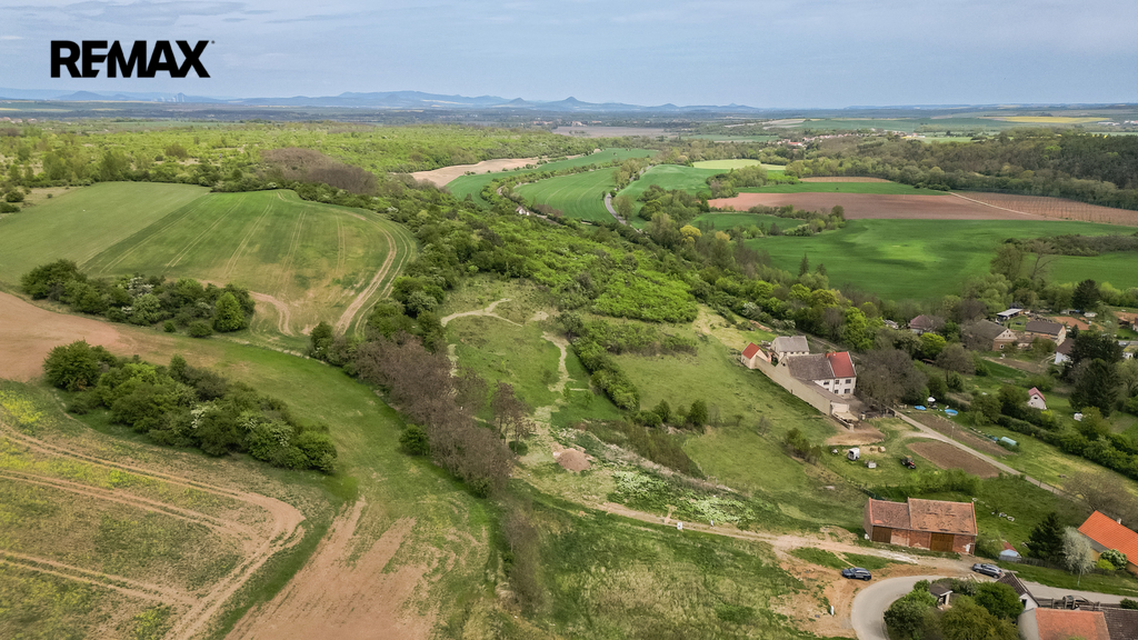vinice-7.jpg
