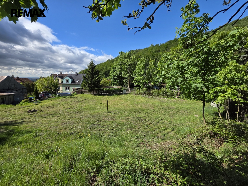 20260512-094500.jpg