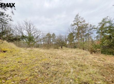 img-9120.jpg | Prodej - pozemek pro komerční výstavbu, 2 467 m²