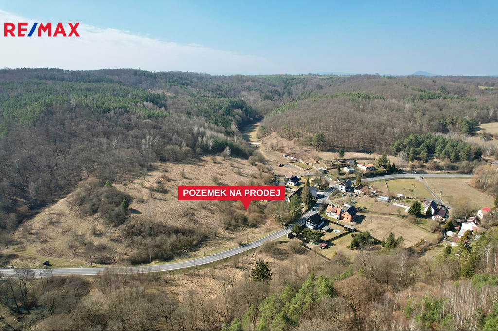 ruzova03.jpg