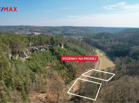 seda01.jpg | Prodej - pozemek, zahrada, 3 094 m²