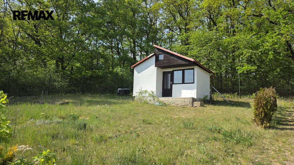 20260505-155530.jpg