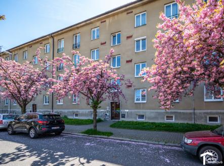Pronájem bytu, 2+1, 53 m² obrázek