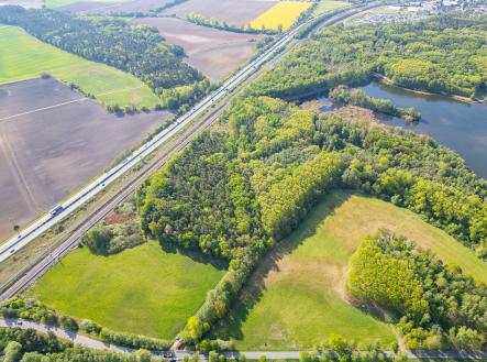 foto: 4 | Prodej - pozemek, les, 12 208 m²