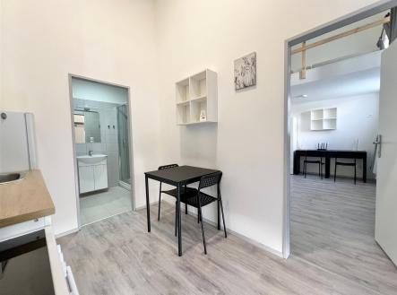 . | Pronájem bytu, 1+kk, 22 m²