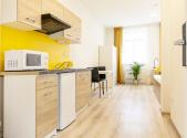 Pronájem bytu, 1+kk, 27 m²