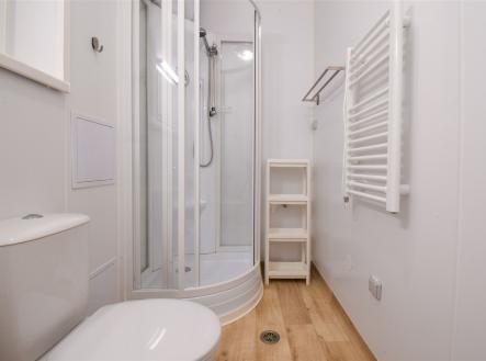 . | Pronájem bytu, 1+kk, 17 m²