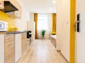 Pronájem bytu, garsoniéra, 27 m²
