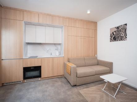 . | Pronájem bytu, 1+kk, 20 m²