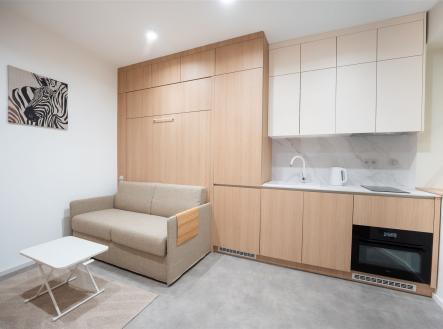 . | Pronájem bytu, 1+kk, 21 m²