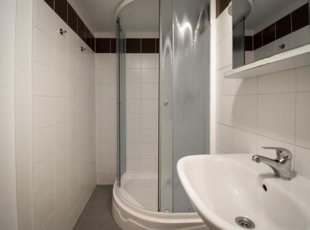 . | Pronájem bytu, 1+kk, 19 m²