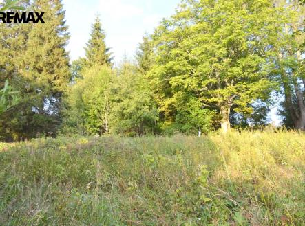 dsc-0112-001.jpg | Prodej - pozemek, ostatní, 8 040 m²