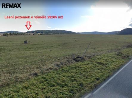 mapa-4.jpg | Prodej - pozemek, les, 29 205 m²