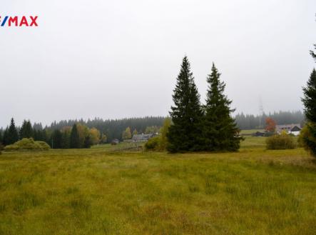 dsc-0436-001.jpg | Prodej - pozemek, trvalý travní porost, 5 181 m²