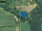 Prodej - pozemek, les, 13 934 m²