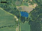 Prodej - pozemek, les, 13 934 m²