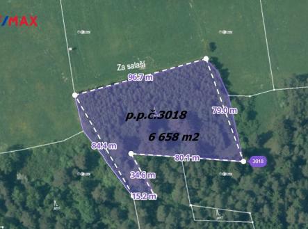 Lesní pozemek | Prodej - pozemek, ostatní, 72 095 m²