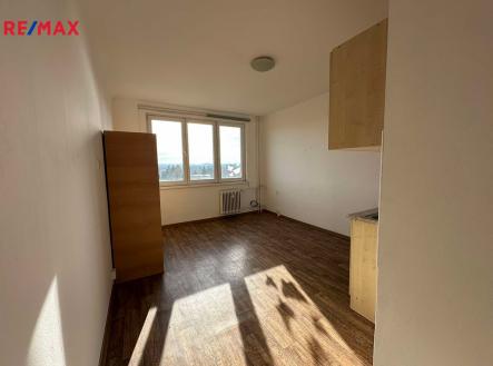 Obývací pokoj s kuchyňskou linkou | Pronájem bytu, 1+kk, 21 m²