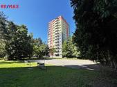 Pronájem bytu, 1+1, 49 m²