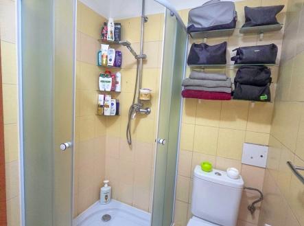 koupelna | Pronájem bytu, 1+kk, 28 m²