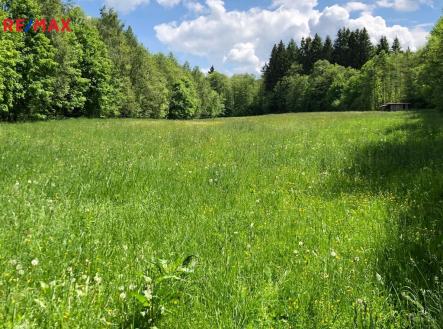 4647b94d-3ad8-41a5-b808-2470fb829588.jpeg | Prodej - pozemek, trvalý travní porost, 14 292 m²