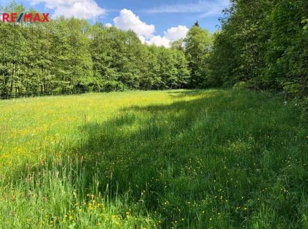 449799c4-dc99-4a6b-9836-9f991750bbe0.jpeg | Prodej - pozemek, trvalý travní porost, 14 292 m²