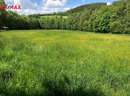 3bf2d1fd-0690-4a41-bb7b-840692b60e5e.jpeg | Prodej - pozemek, trvalý travní porost, 14 292 m²