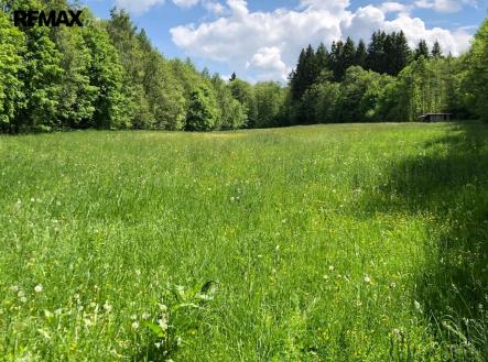 4647b94d-3ad8-41a5-b808-2470fb829588.jpeg | Prodej - pozemek, trvalý travní porost, 14 292 m²